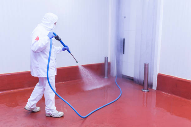 Best Warehouse Cleaning  in Lamar, TX